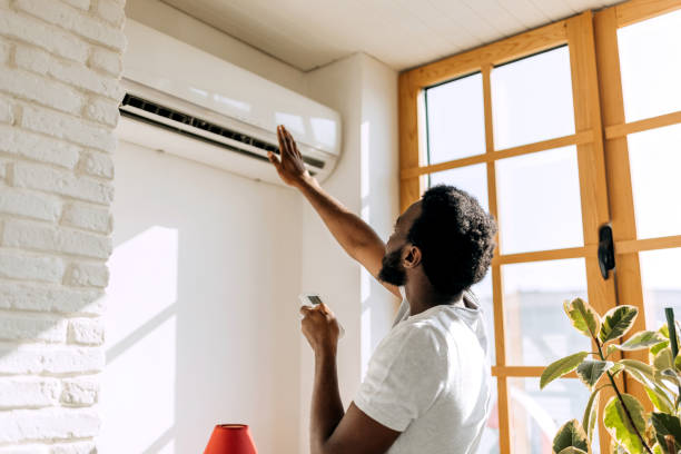 Best Ductless Mini-Split Systems in Lamont, MI